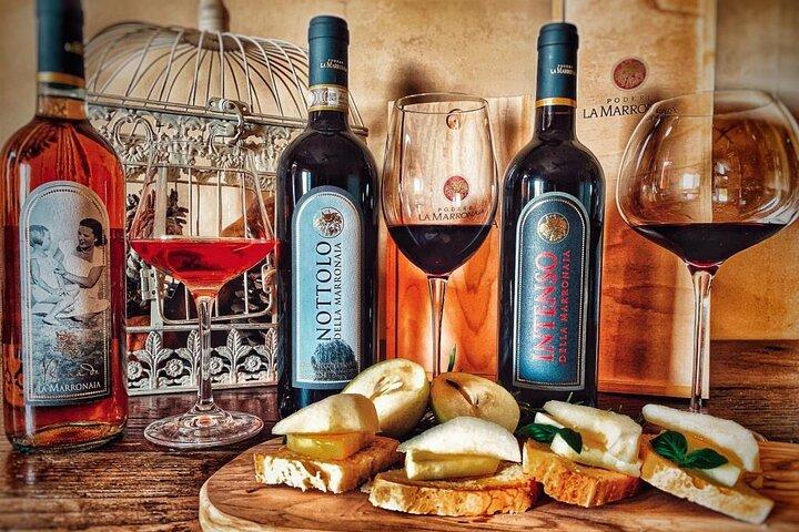 Dégustation privée de vin et d'huile d'olive vierge extra