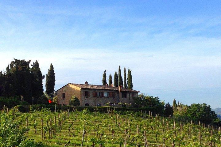 Private Wine & Evo oil tasting with Truffle Meal