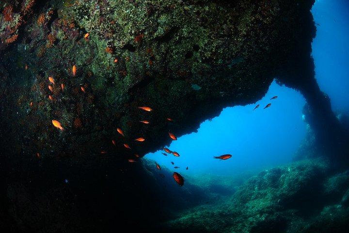 2 Dives from Diving Center (with full equipment)