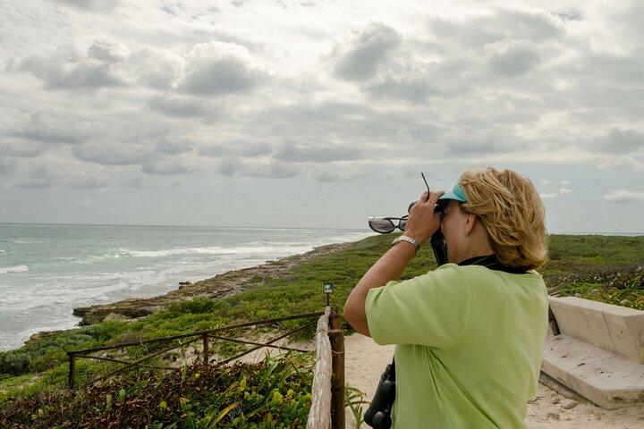 Isla Contoy Private Day Tour, vanuit Cancun