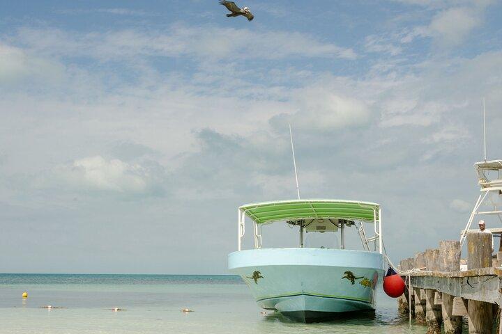 Isla Contoy Private Day Tour, vanuit Cancun