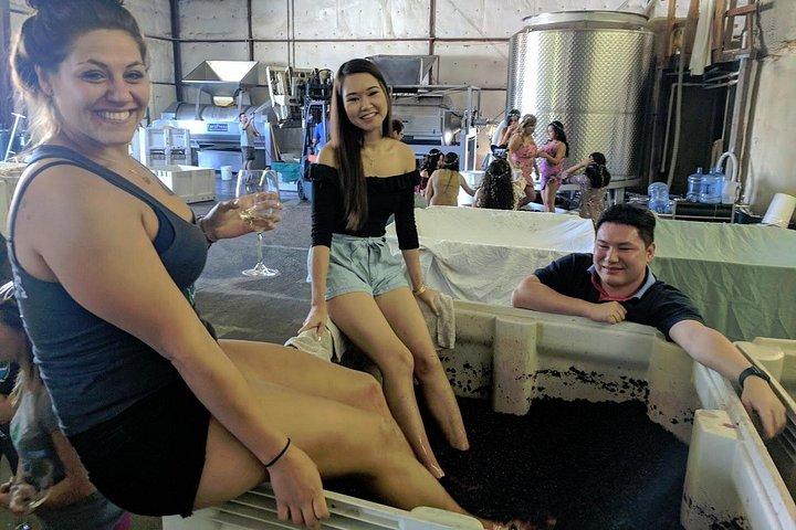 6 Hour Private Santa Barbara Wine Tour