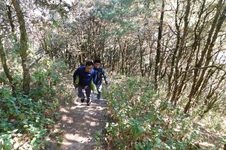 Chandragiri Hill Day Wanderung