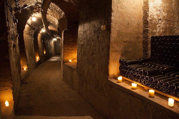 Dégustation de vin privée par fête à Belgrade