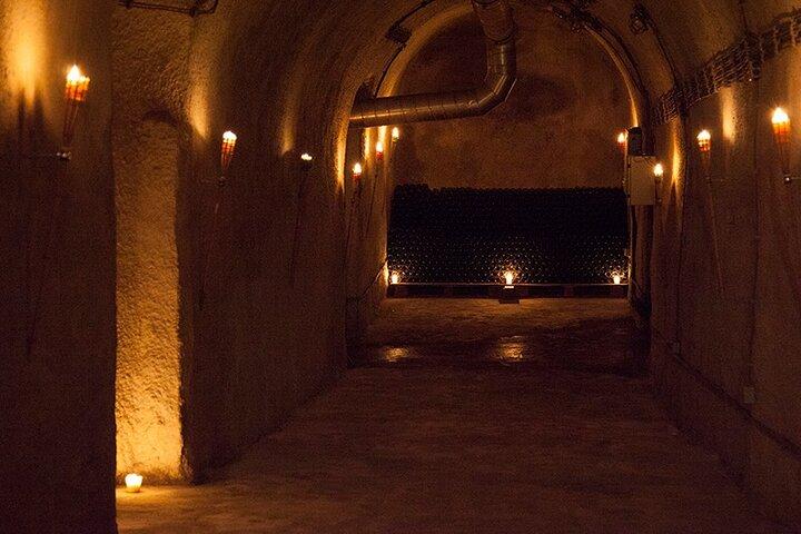 Dégustation de vin privée par fête à Belgrade