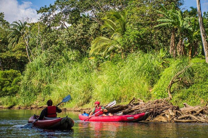 Safari in kayak