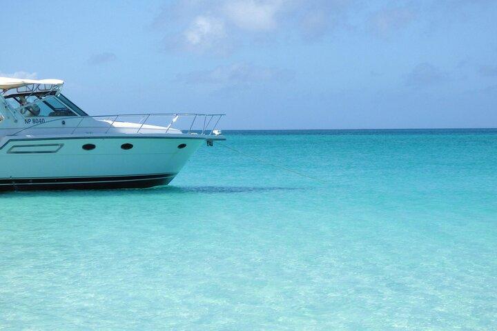 Privat snorkling eller fiske i Nassau - 38ft Freestyle