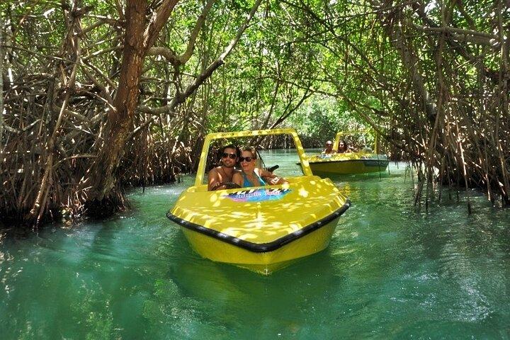 Mangrove Jungle Speedboat Erfahrung