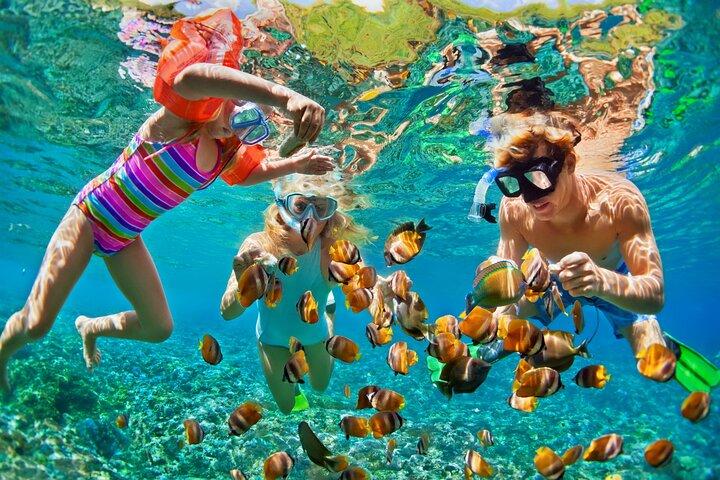 Experiencia de snorkel en el arrecife de Nizuc