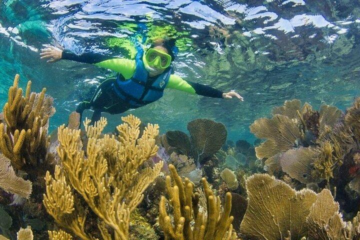 Experiencia de snorkel en el arrecife de Nizuc