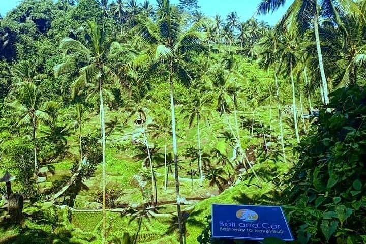 最高のバリ輸送サービス - 独自の旅程をカスタマイズ