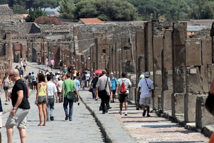 From Naples: Pompeii Guided Walking Tour & Skip-the-Line Tickets