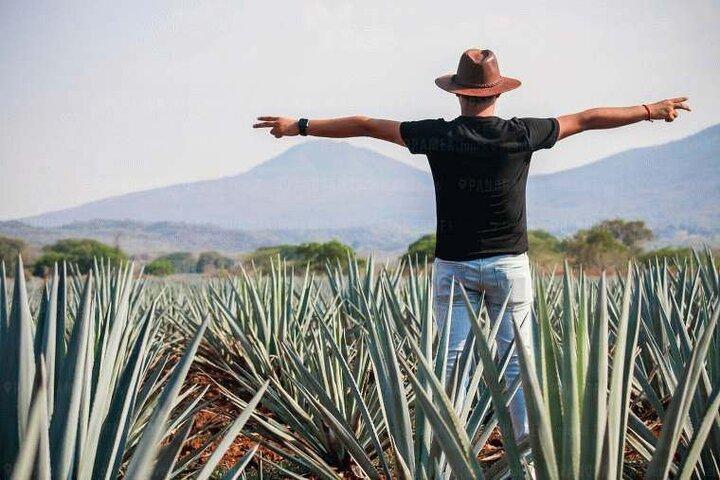 Tequila Tour durch die blauen Agavenfelder von Guadalajara