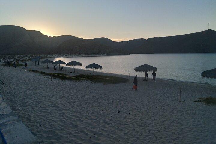 Heldags privat tur ved at kende Balandra Beach