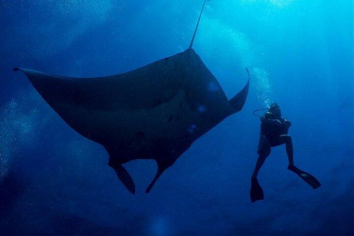 Mergulho de 2 dias Similans de Phuket