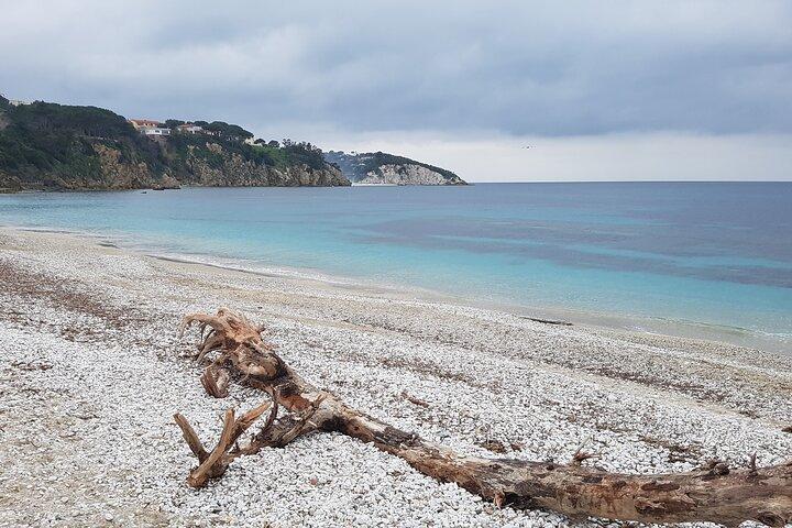 Portoferraio Walking Tour with Guide 2 Hours