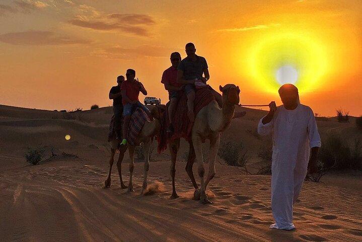 Sunset Camel Ride med Sandboarding og Lavish BBQ Middag Buffet