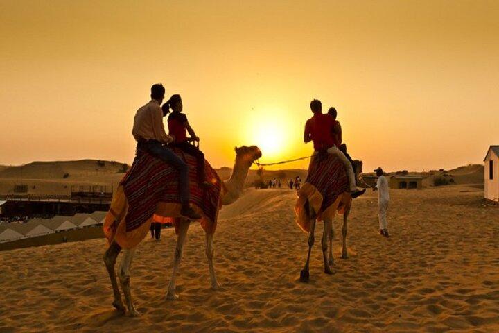 Sunset Camel Ride med Sandboarding og Lavish BBQ Middag Buffet
