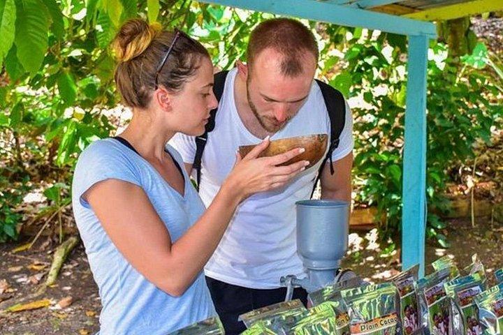 Full Day Eco Safari Adventure and Cultural Tour