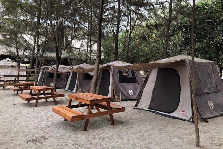 4 dias Camping Safari Arusha - Tarangire, Serengeti e Ngorongoro