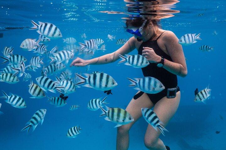 Halbtägiger Schnorchelausflug in Tahiti
