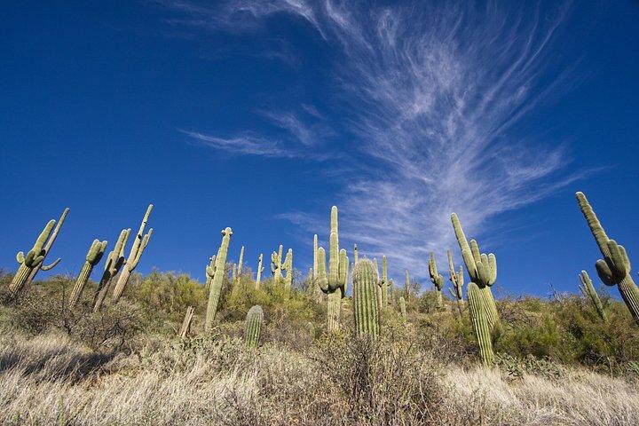 Incredible Hidden Valley Guided Hike in Phoenix, Arizona