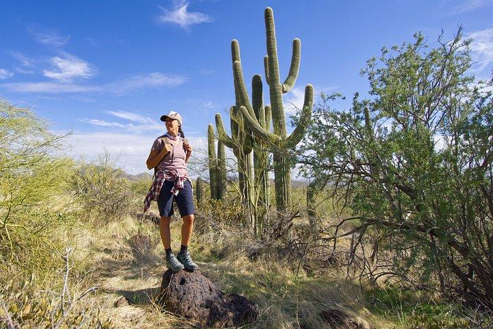 Incredible Hidden Valley Guided Hike in Phoenix, Arizona