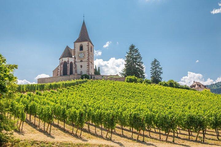 Alsace Full Day Vin Tour fra Colmar