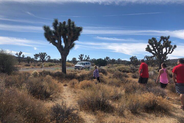 Joshua Tree nationalpark asfalterad vägtur