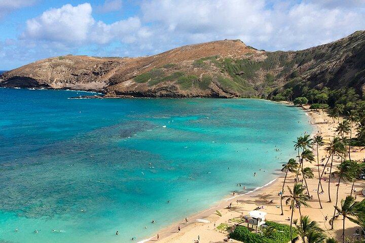 オアフ島：グランドサークル島1日または半日ツアー