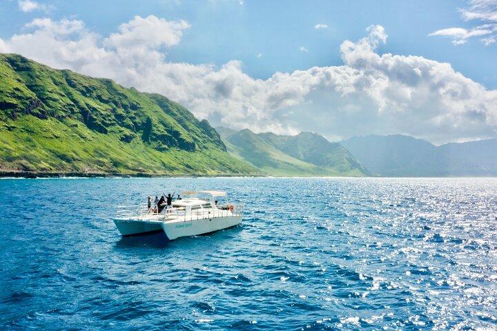 Oahu: nadar com golfinhos na costa oeste