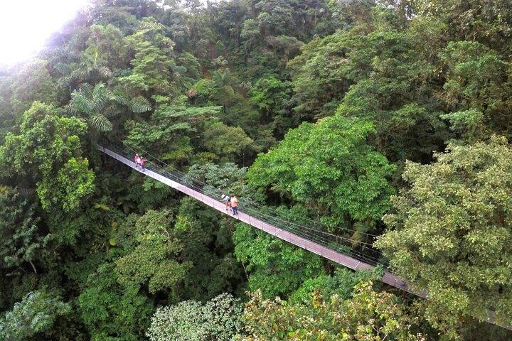 Aventure dans le volcan Combo Tour! - Tyrolienne, cascade, sources chaudes et plus