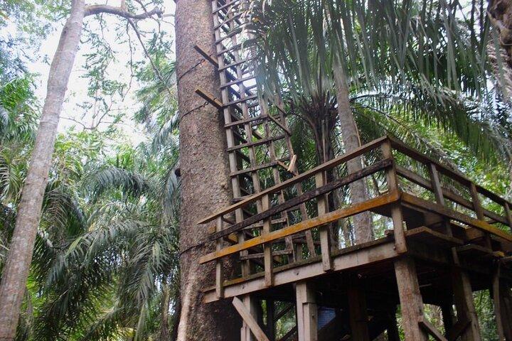 Visita extraordinaria al centro de conservación de Lekki