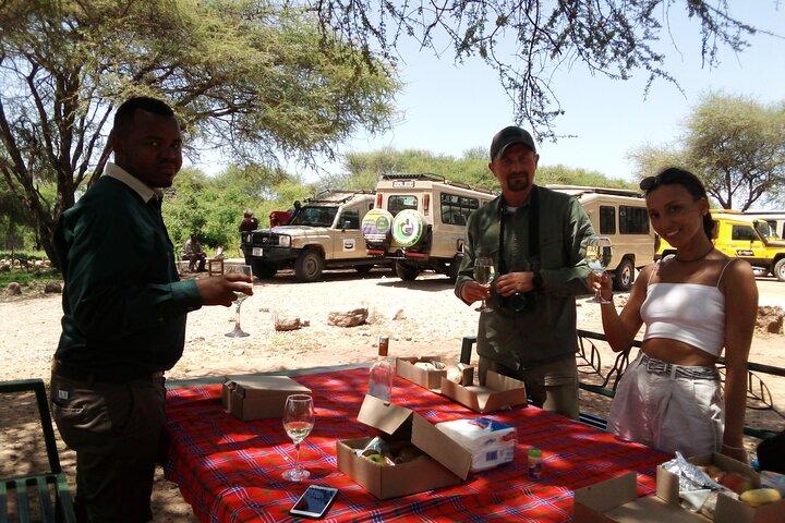 Safari privado de 4 días en Tanzania | Safari en Serengeti, Ngorongoro y Tarangire