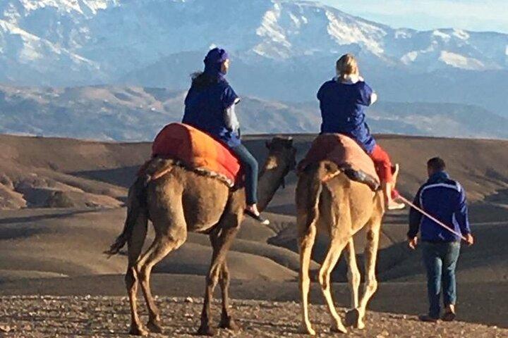 Sunset Camel Ride in Agafay Desert