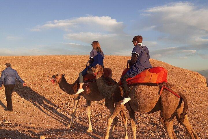 Sunset Camel Ride in Agafay Desert