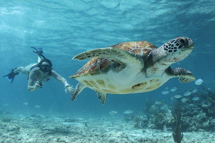 Akumal Cenote Natação e mergulho com snorkel de Cancun e Costa Mujeres