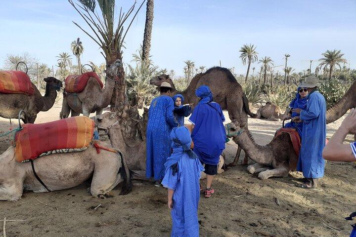 Kamelfärd Marrakech