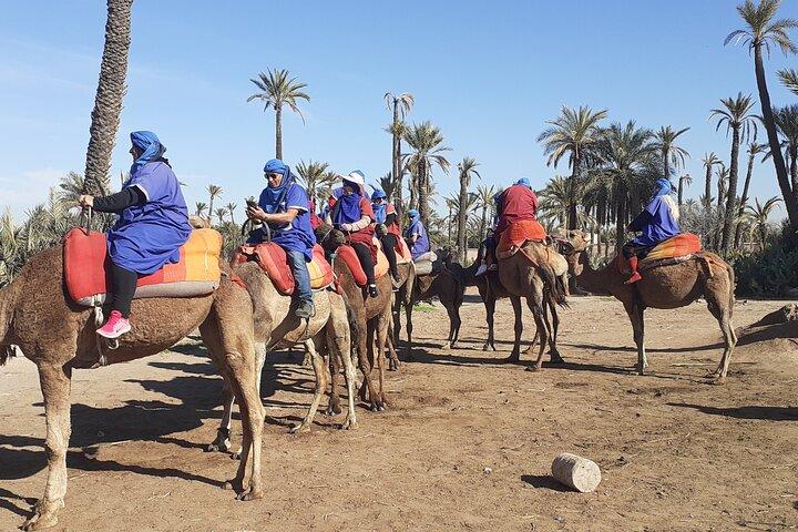 Kamelfärd Marrakech