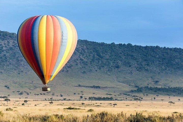 3日間のマサイマラサファリツアーは、5つのワイルドビアとワイルドビーストの移動を見る