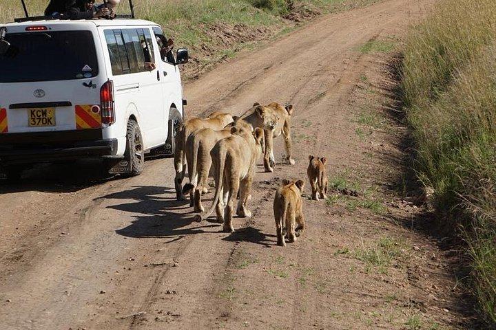 マサイマラナクル、ナイバシャ、アンボセリ公園への7日間のサファリ