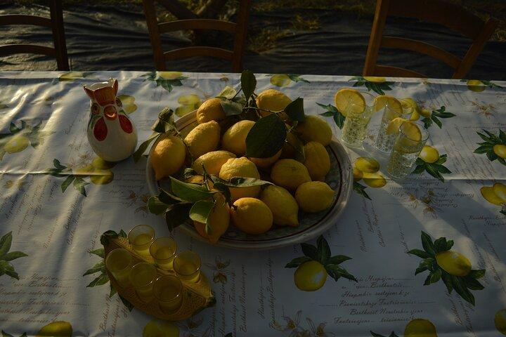 Discovery Tour of Sorrento Lemon i Massa Lubrense