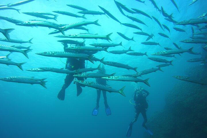Bautizo en la Reserva Marina del Norte de Menorca