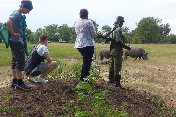 モシ オ トゥニャ国立公園でのサファリ ゲーム ドライブとライノ ウォーク
