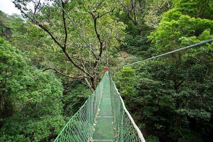 グアナカステ発ブエナビスタ・デル・リンコン・メガコンボツアー