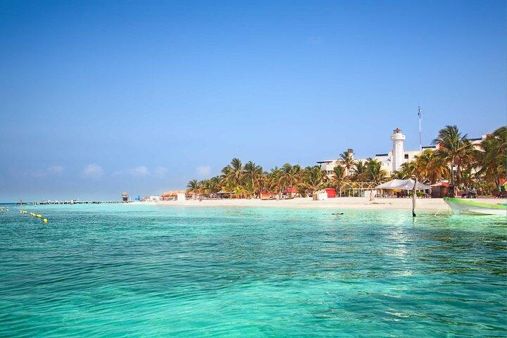 Whale Shark Watching and Snorkeling Experience from Cancun