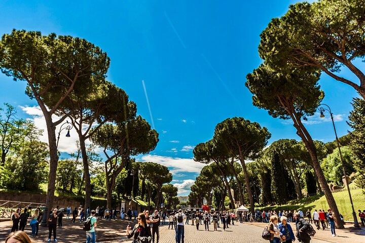 Rome Private Intro Tour: Custom & Flexible with a Local Guide