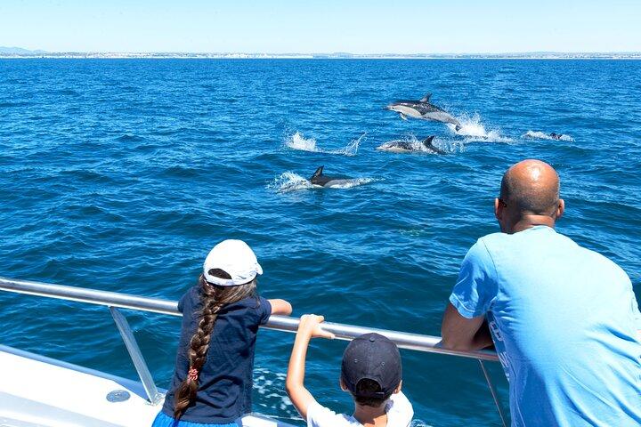 Delfinobservation og grottesejlads fra Albufeira