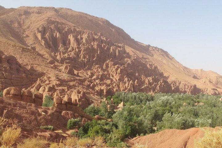 Enjoy the desert.