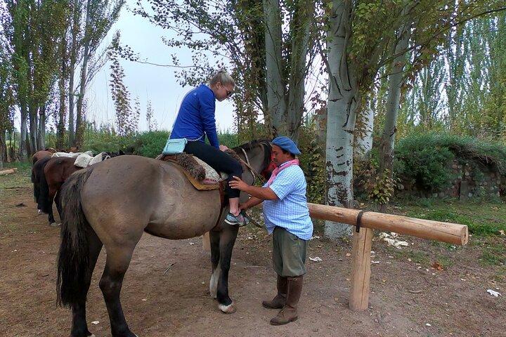 乗馬でブドウ畑を散策した後、グルメランチ